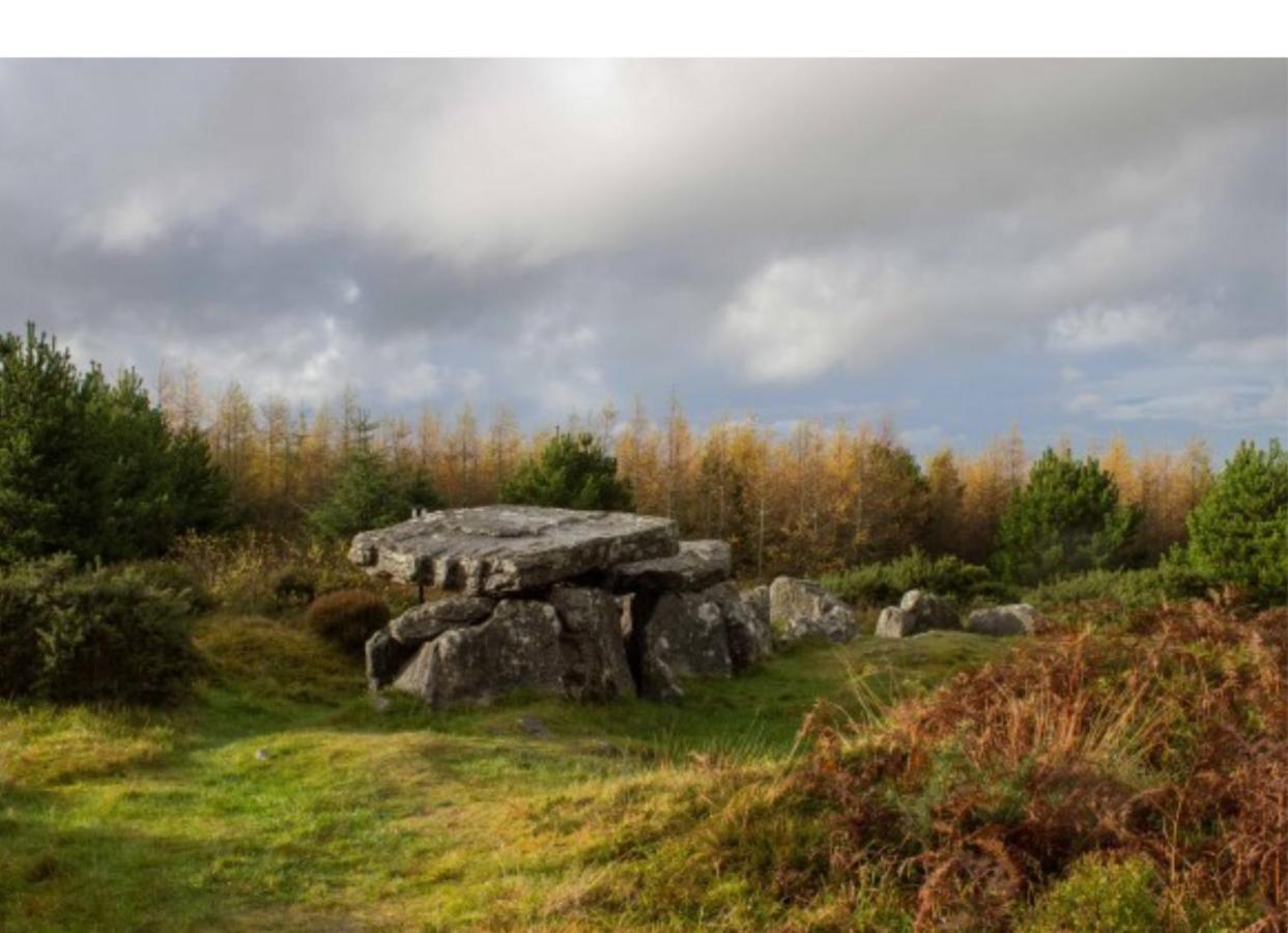 Corderry Farmhouse, Idyllic Cottage Amid 250 Acres Lisvernane Экстерьер фото